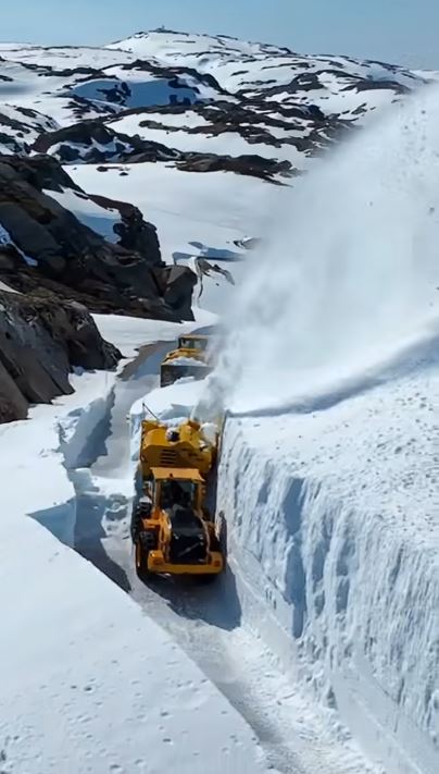 Niekedy sa zd�, �e cest�ri u n�s robia toto